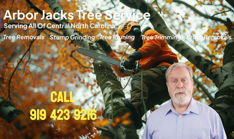 Arbor Jacks Tree Service - Thumbnail